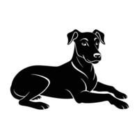 Relaxed dog lying down with front paws extended calmly on white background vector