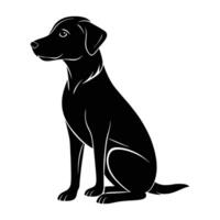 Loyal dog sits calmly and attentively looking forward in clear view vector