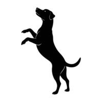 Energetic dog standing on hind legs reaching up enthusiastically on white background vector