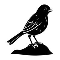 Graceful finch perched on a rock with a delicate tiny beak silhouette vector