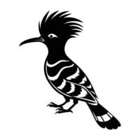 A graceful hoopoe with a raised distinctive crest perched on a branch silhouette vector