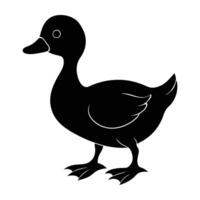 Adorable duckling walking steadily with small webbed feet in isolated silhouette art vector