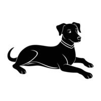Content dog resting with front paws stretched forward peacefully on white background vector