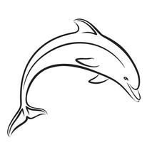 dolphin Sketch in jump. vector