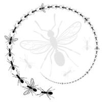 Round frame with ants. vector