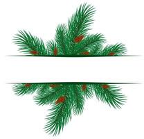 The frame with branches of pine tree. vector