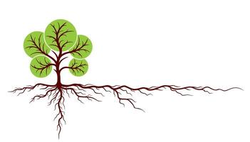 Tree with roots. vector