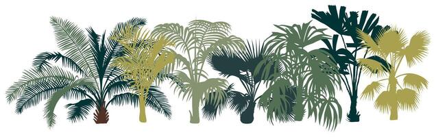 A border of palm trees are shown in various colors vector