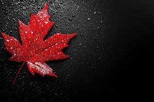 Red maple leaf glistening with raindrops, dramatic moisture laden surface contrasting against deep shadowy backdrop copy space photo