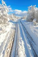 A snowy road with trees and snow on it photo