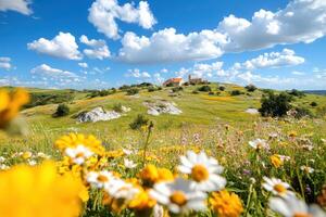 A field with wildflowers and a church on a hill photo