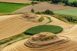 A field with a large mound of wheat photo