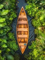 An aerial view of a boat floating in a river surrounded by lush green vegetation photo
