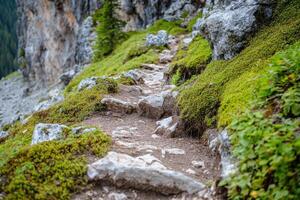 A path leading up a mountain side with rocks and moss photo