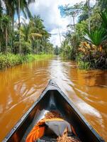Amazon river, brazil, amazon rainforest, amazon river, amazon rainforest photo