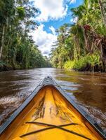 A canoe is traveling down a river in the jungle photo