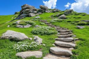 Stone steps leading up to a grassy hill photo
