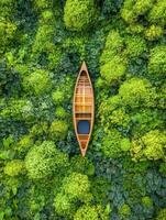 A boat in a green forest photo