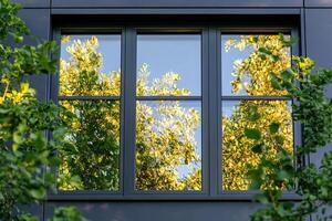 Black window frame of a private house with clean glass reflecting green leaves of trees in them. Dark facade of a modern house. Generated by artificial intelligence photo