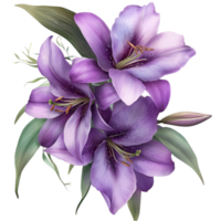 Vibrant Purple Lilies with Green Leaves on png
