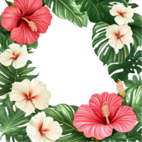 Tropical floral wreath with red and white hibiscus flowers on summer botanical frame png