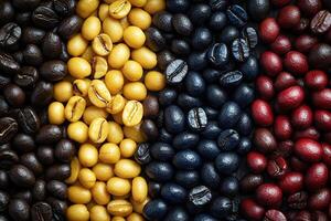 Coffee beans of different varieties and different colors lie in rows. Coffee background. photo