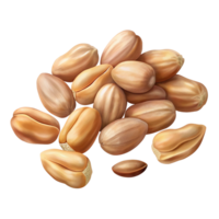 Scattered nuts with peanut details on transparent background png