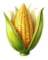 Vibrant golden corn cobs with a naturally fresh glow on transparent background png