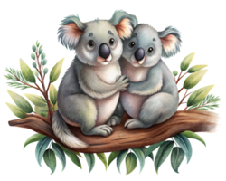 Two affectionate koalas cuddling under the stars on a fairytale branch in transparent background png