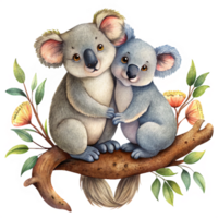 Romantic koalas resting together on a gracefully curved artistic branch in transparent background png
