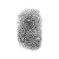Fingerprint on Transparent Background. Security, Code, Lock, Privacy png