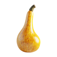 yellow gourd on a transparent background png