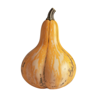 a squash on a transparent background png
