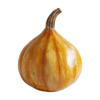 large pumpkin on a transparent background png
