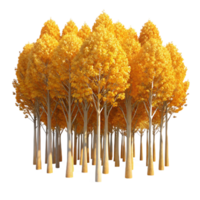 wonderful artistic A Grove of Aspen Trees Golden Leaves In high resolution png