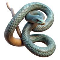dramatic minimalist A Slithering Snake Coiled Around a Branch premium png