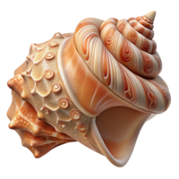 extraordinary abstract A Close Up of a Seashell with Intricate 4K png