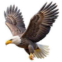 extraordinary classic A Majestic Bald Eagle Soaring Through The high resolution png