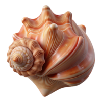 stunning classic A Close Up of a Seashell with Intricate high resolution png