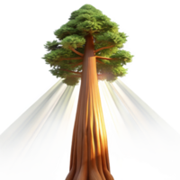 serene abstract A Giant Sequoia Tree Reaching Towards The authentic png