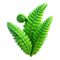 magnificent abstract Unfurling Fern Soft Diffuse Light authentic png