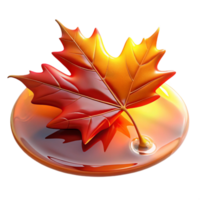 serene minimalist A Single Red Maple Leaf Backlit high resolution png