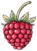 A single ripe raspberry with green leaves and a green stem png