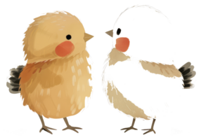 Two small birds with red cheeks are standing close together png