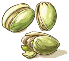 Three illustrative and appetizing pistachio nuts and their shells are depicted png