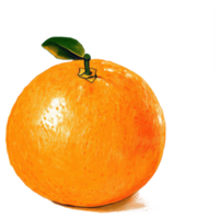 An artistic rendering showcasing a ripe vibrant orange fruit with leaves png