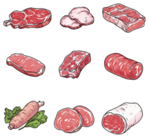 A colorful illustration showcasing various uncooked cuts of fresh red meat png