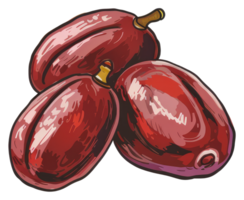 Three ripe oblong fruits are depicted in artistic red illustrations png