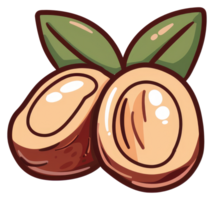 Cartoon drawing illustrating two halved nuts with some green leaves png