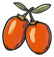 Two orange berries with green leaves on a small twig png